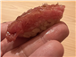 toro sushi close up